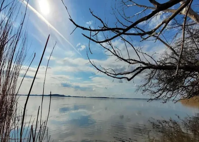 In Nahe Ostseestrand